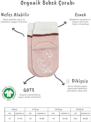 Freedom Storee 2'li Hayvan Figür Kaymaz Kız Soket Çorap 10120 Gri