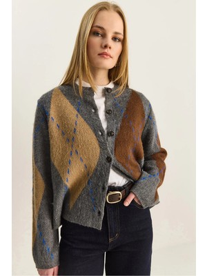 Shade Kadın Bakalava Desenli Şardonlu Düğmeli Hırka