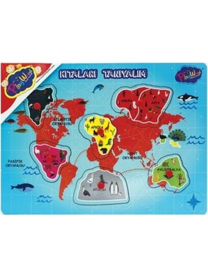 Najmaddin ONY-204-205 Ahşap Tutmalı Kıktaları ve Bölgeleri