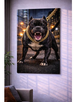 Özgül Reklam Pleksi Tablo | Pitbull - Kızgın Siyah Pitbull | 3 mm Pleksi Baskı | Ultra Hd Parlak Duvar Tablosu