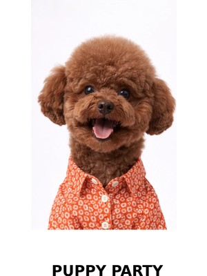 Puppy Party Kırmızı Minik Çiçek Baskılı Düğmeli Gömlek Kumaş Köpek Üstü.hafif ve Nefes Alabilen Ince Dokuma Poplin Kumaş Yaz Aylarında Maksimum Konfor ve Şıklık Için Tasarlandı.