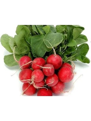 Ulu Pazarlama Doğal Cherry Turp Tohumu - 10 Adet