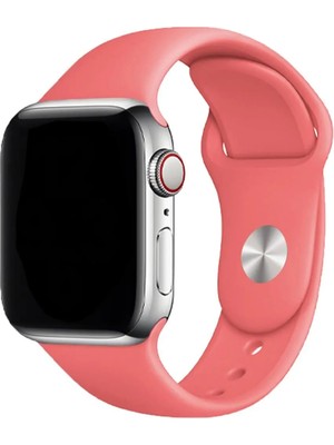 E2M Classic Silikon Apple Watch Kordon 42-44-45-49MM Yavruağzı