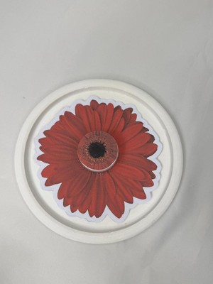 HS Gift And More Çiçek Kartlı Krem Hediyelik Özel Gün Hediyelik Jelatinli 20 Adet