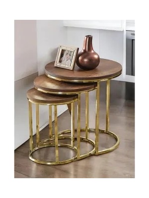 Vivense Tubihome Zigon Sehpa Takımı, Gold Ayak