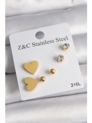bebekokusu Tegan 316L Çelik Gold Renk Zirkon Taşlı Kalpli Kadın Küpe Seti TG27BKP10004