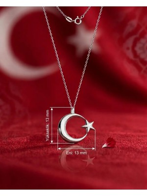 Modahilye - 925 Ayar Gümüş Ay Yıldız Mini Tasarım Kolye