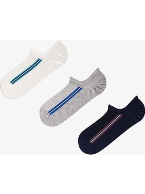 Penti Erkek Renkli Line Track 3'lü Sneaker Çorabı