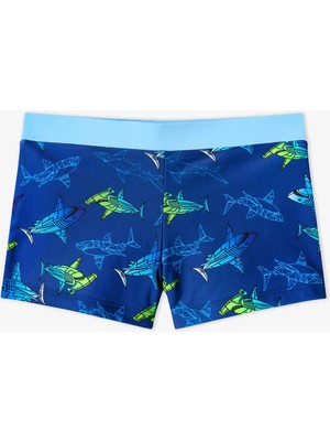 Penti Renkli Erkek Çocuk Gradient Shark Trunk Mayo
