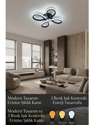 PremiumPort Modern 4’lü Siyah Avize, Salon, Mutfak, Çocuk Odası, Antre Aydınlatma