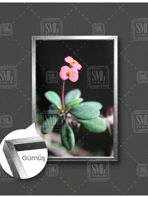 SML Tablo Yakın Çekim Çiçek Makro Menekşe Dikey Çerçeveli Kanvas Tablo