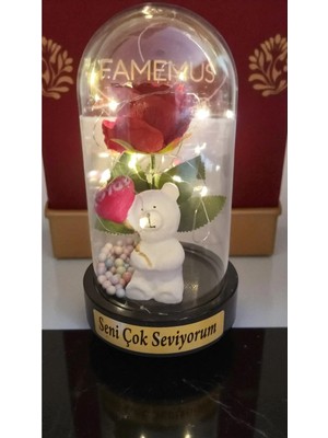Famemus Accessory Seni Seviyorum Güllü LED Işıklı Fanus 25 cm