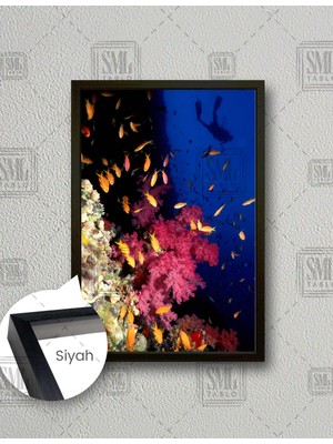 SML Tablo Deniz Altı Japon Balıkları Dalgıç Manzara Dikey Çerçeveli Kanvas Tablo