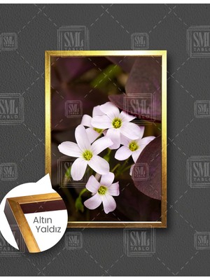 SML Tablo Makro Çekim Beyaz Çiçek Manzara Doğa Dikey Çerçeveli Kanvas Tablo