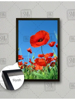 SML Tablo Gelincik Çiçeği Doğa Manzara Yakın Çekim Dikey Çerçeveli Kanvas Tablo