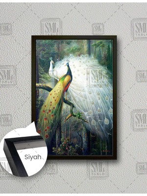 SML Tablo Beyaz Tüylü Zarif Tavus Kuşu ve Renkli Tavus Kuşu Çifti Dikey Çerçeveli Kanvas Tablo