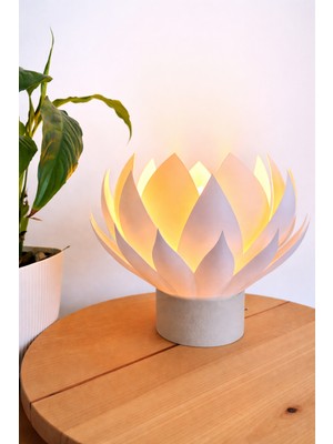 Wooden Touch Lotia Dekoratif Masa Lambası Taş Taban