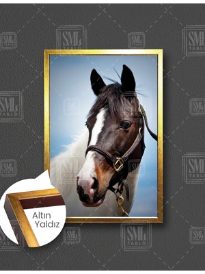 SML Tablo At Asalet Doğa Hayvan Dikey Çerçeveli Kanvas Tablo