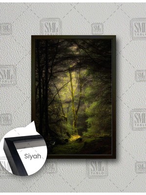 SML Tablo Karanlık Orman Doğa Manzara Ağaç Gün Işığı Dikey Çerçeveli Kanvas Tablo