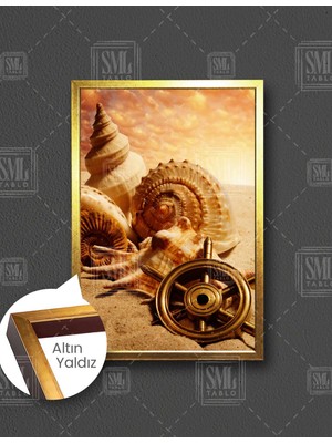 SML Tablo Istiridye Midye Salyangoz Deniz Sahil Kumsal Dikey Çerçeveli Kanvas Tablo