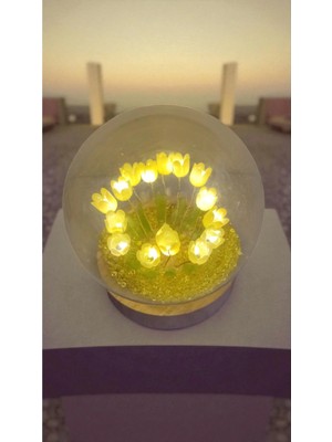 Famemus Accessory Ahsap Lale Bahçesi LED Işıklı Çok Şık Hediyelik Ürün Boyut 10 cm