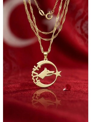 Modahilye 925 Ayar Gümüş Bozkurt Hilal Ay Yıldız Kolye Altın Kaplama Sarı Renk Türk Bayrağı Temalı Kadın Kolye