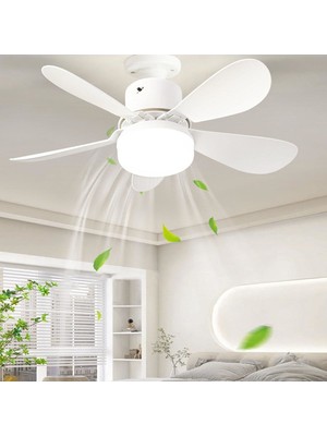 Cata Cata Lodos Fan LED 62W CT-1154 Kumandalı Işıklı Vantilatör