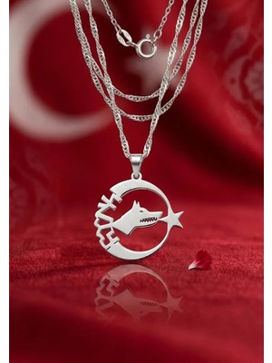 Modahilye 925 Ayar Gümüş Bozkurt Hilal Ay Yıldız Kolye Rodyum Kaplama Türk Bayrağı Temalı Kadın Kolye