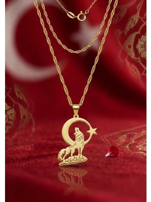 Modahilye 925 Ayar Gümüş Bozkurt Hilal Ay Yıldız Kolye Altın Kaplama Sarı Renk Türk Bayrağı Temalı Kadın Kolye