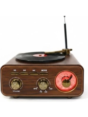Everton RT-1317BT  Bluetooth Usb-Micro Plak Radyo