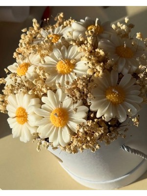 Çağıl Candles Papatya & Kuru Çiçek Saksı Mum Papatya Figürlü Saksı Mum | Kuru Çiçekli Dekoratif El Yapımı Mum