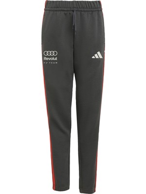 Adidas Performance KE6778 Audı Revolut F1 Team Dna Pant
