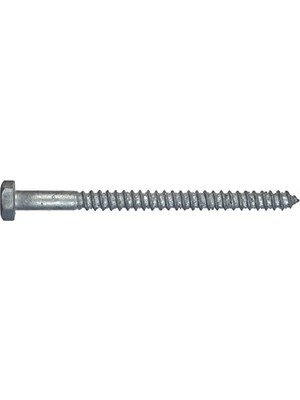 The Group 812065 Daldırma Galavanize Altıgen Vidalı Vida, 3/8 x 2-1/2-Inç, 50'li Paket
