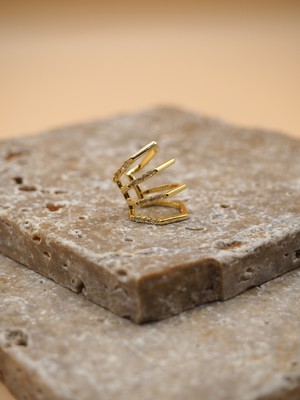 Stelle Jewelry Taşlı Uzun Kıkırdak Küpe