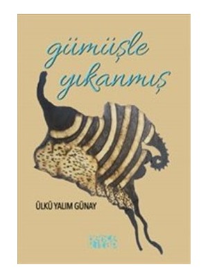 Bencekitap Gümüşle Yıkanmış