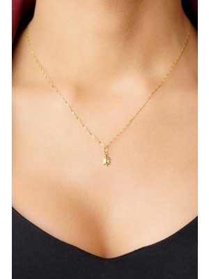 Fiyonk Kuyumculuk 14 Ayar Altın Kaplumbağa Detaylı Singapur Zincir Kolye