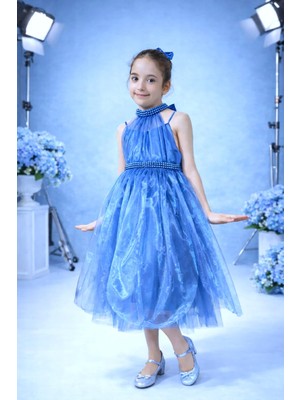 Treemass 263 Kız Çocuk İnci Detaylı Tüllü Prenses Abiye Elbise