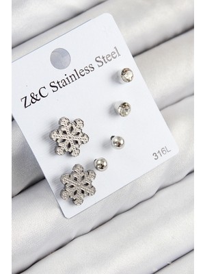 isiltikidsmoda 316L Çelik Zirkon Taşlı Kar Tanesi Model Gümüş Renk Kadın Set Küpe