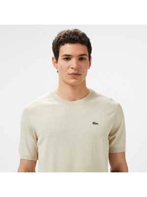 Lacoste Erkek Regular Fit Triko