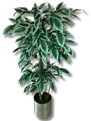 Cihan Çiçekçilik Yeşil Beyaz Yapay Ceviz Ağacı 180 Cm 30x30 Metal Saksı