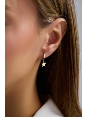 Arpaş 14 Ayar Yıldız Altın Küpe