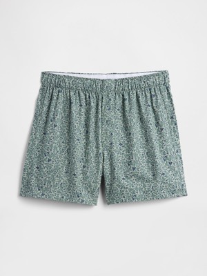 Gap Erkek Açık Yeşil 4" Boxer