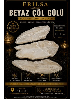 Erilsa Sertifikalı Beyaz Çöl Gülü Selenit Taşı Kütle - Iri Boy 8-10 cm Koleksiyonluk Doğal Taş