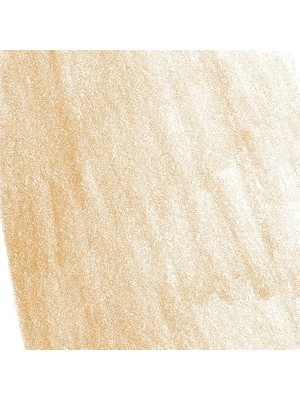 Pitt Pastel Boya Kalemi Renk 183 [büro Malzemeleri ve Yazı Gereçleri]