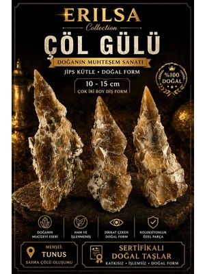 Erilsa Sertifikalı Çöl Gülü Taşı Kütle - 10-15 cm Çok Iri Diş Doğal Jips Kristal Toplu