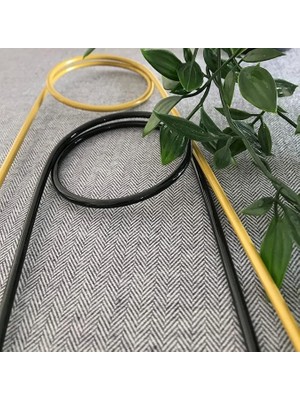Adet Bitki Destek Çubuğu – Altın Rengi ve Siyah Metal Kancalıiğne Model, 65 Cm, Sarmaşık ve Büyük Yapraklı Bitkiler Için