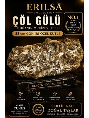 Erilsa Sertifikalı Çöl Gülü Taşı Kütle - 22 cm Çok Iri Koleksiyonluk Doğal Jips Kütle Özel Parça