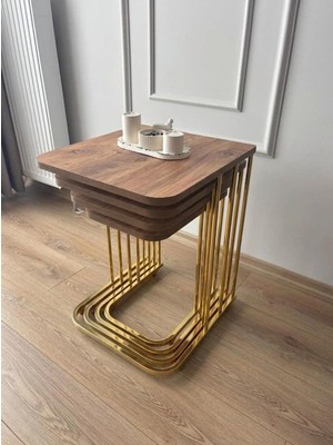 Eryalux Home 4'lü Tekerli Gold-Atlantik Çam Zigon Sehpa