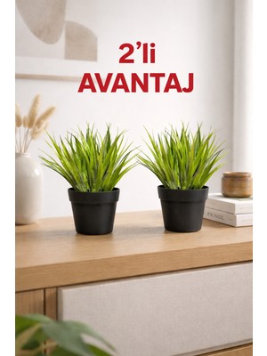 B&Nine 2’li Dekoratif Yapay Sukulent Seti Siyah Saksı – Modern Masa Üstü Ev Ofis Çiçek