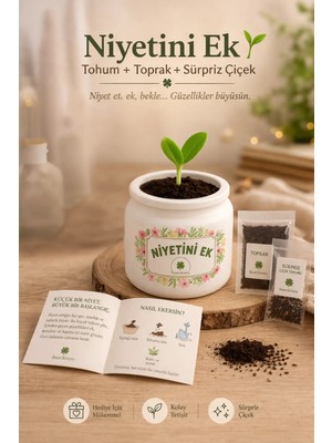 Niyetini Ek – Sürpriz Tohumlu Mini Saksı